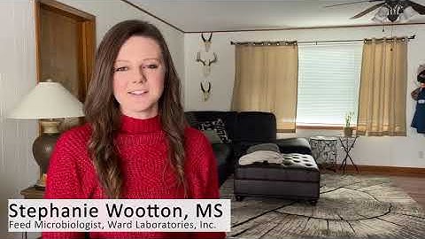 Testing for Aflatoxin in Feed