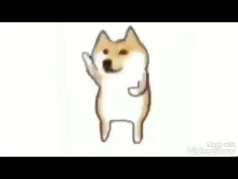 Белая собака танцует мем