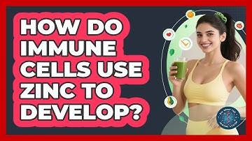 How Do Immune Cells Use Zinc To Develop?