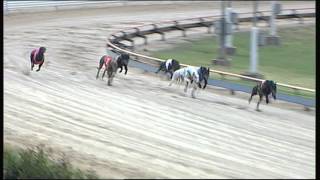 SLE TUE 01 MAR 16 R11