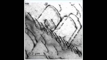 Nanoscale origins of the damage tolerance of the high-entropy alloy CrMnFeCoNi