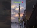 This noha has my ❤️ … #vlogs #love #islamicvideo #facts #shortvideo #nature #daugher #travel