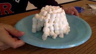 Famous Power Play: Igloo Net Worth