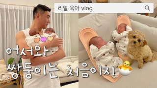 [육아vlog] 쌍둥이 현실육아😇 열렸습니다..헬게이트...