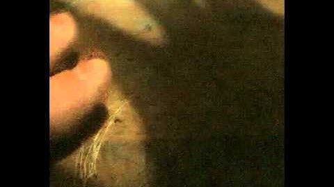 experimental animation