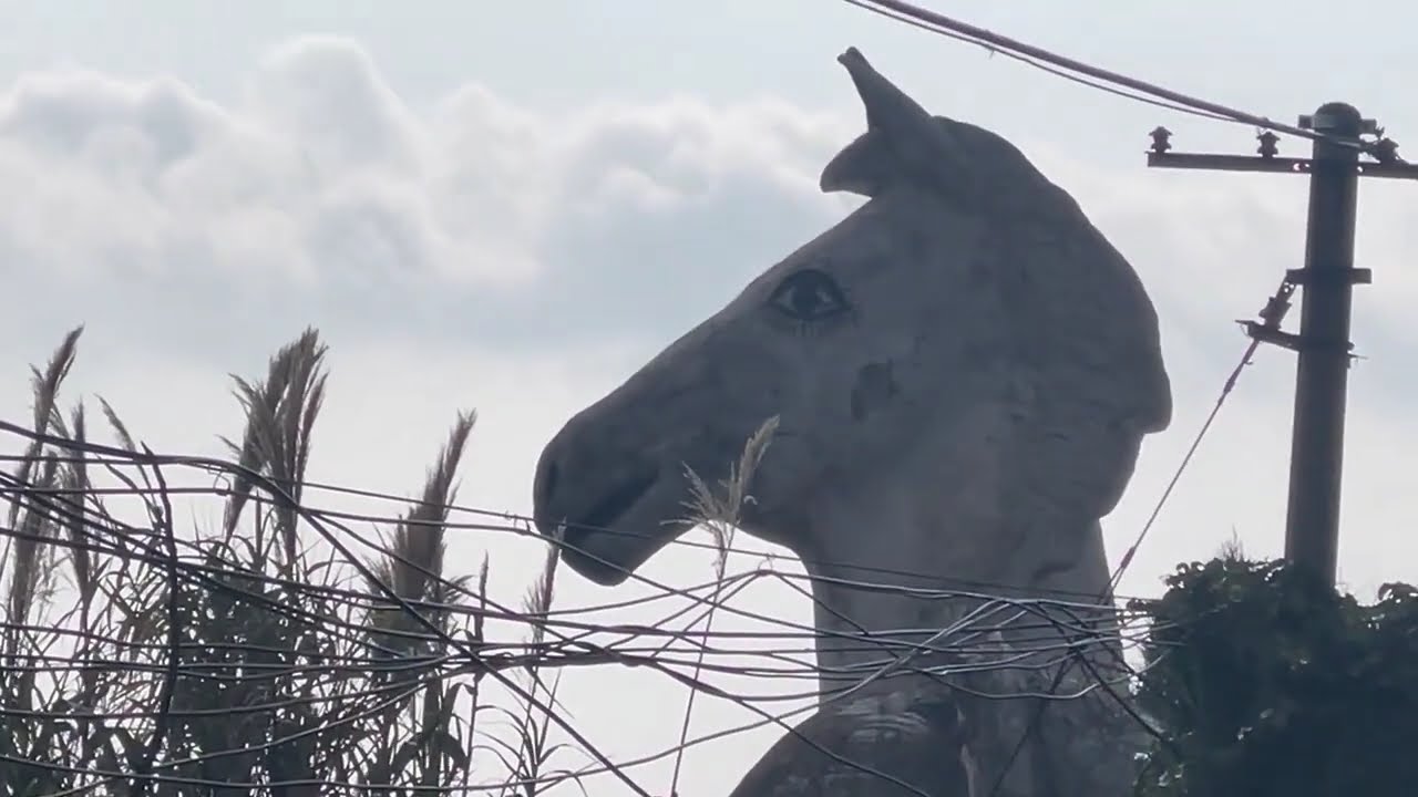 HHMC 探秘荒废公园