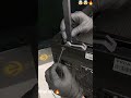 Intel i9-13900K with RTX 4060 TI BUILD #pcbuild ASMR #shorts