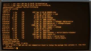 Celebrity Python ASMR - Listing all Files/Folders on the FTP Root Directory - No Talking Net Worth