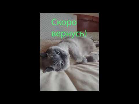 Видео: Музыкальный стрим со сцены. День Гражданской Авиации