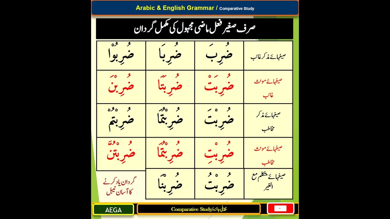 صرف کبیر فعل ماضی مجہول | گردان ماضی مجہول | Arabic Sarf Short