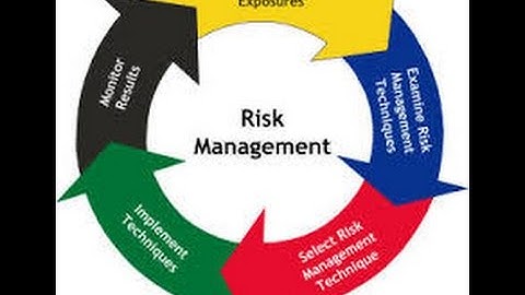 18. Project Risk Management