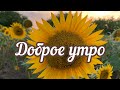 Доброе утро