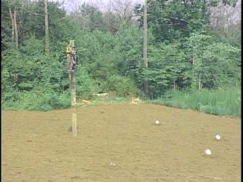 Tree Lounge 360 Degree Field of Fire 2