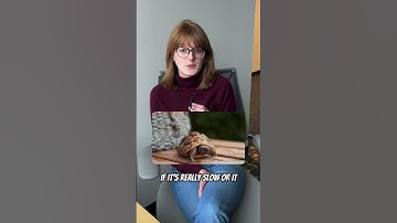 What makes you click off of a video the fastest?