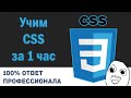 Учим CSS за 1 час! #От Профессионала