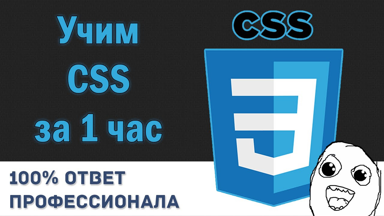New Учим CSS за 1 час! #От Профессионала