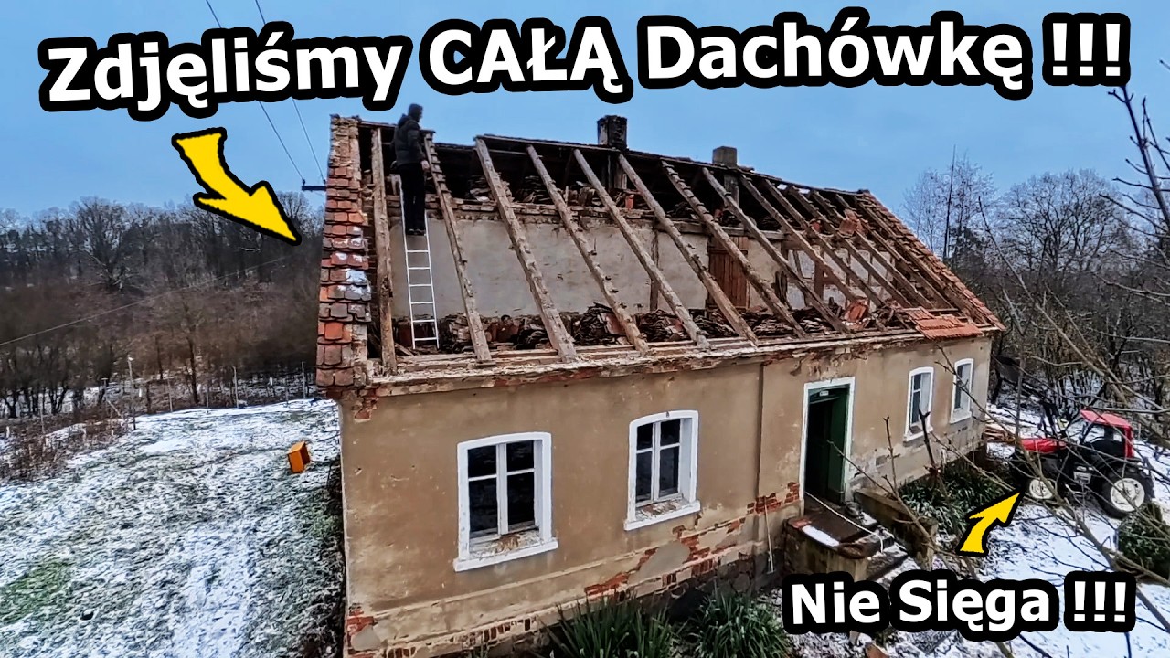 Rozbieramy Dach Starego Domu !!! - Gniazda Szerszeni, Os i Kun! *Zdejmujemy Dachówkę  #1140