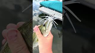 Coike 1st cast #shorts #fun #fishing #bassfishing #fish #lake #coike #urchin #viral #1k