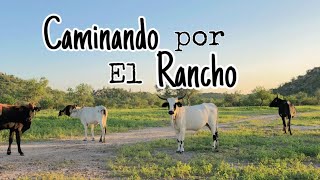 Recorrido por el rancho | La Tinaja de Orantes