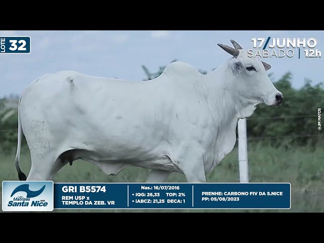 LOTE 32   GRI B5574