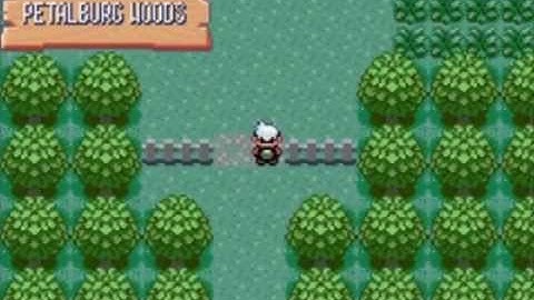 Pokémon Emerald Walkthrough Part 3: Through the Petalburg Woods