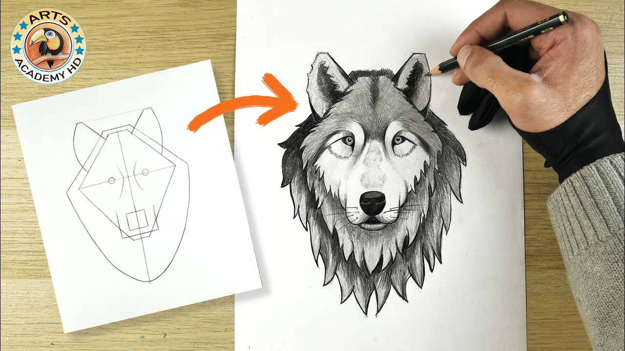 Drawing Rts how to draw a wolf | pencil drawing | Arts Academy HD | رسم | رسم بقلم ...
