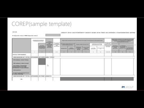 COREP and FINREP Reporting Overview