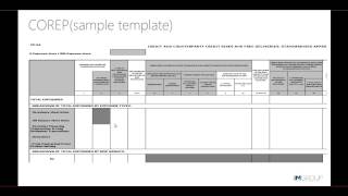 COREP and FINREP Reporting Overview