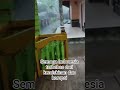 kampung idaman