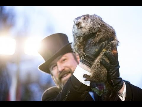 Groundhog Day 2020 Livestream: Watch Punxsutawney Phil Look ...