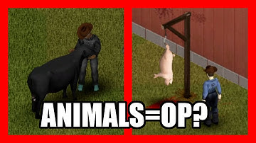 In-Depth Animal Husbandry Guide For Project Zomboid Build 42!