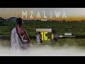 DRIEMO ft XAVEN - IMAGINE(official audio visualizer)#Mzaliwa #malawi #zambia #zimbabwe