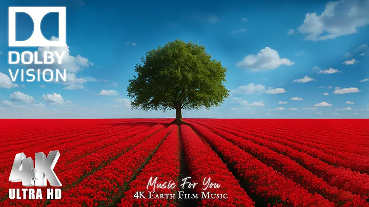 Wonderful 4K HDR 60FPS Dolby Vision | The Most BEAUTIFUL Earth Video You'll Ever See