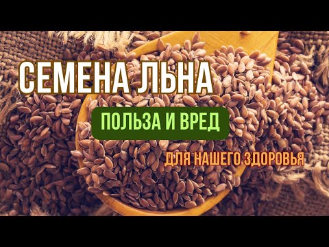 Польза и Вред Семян Льна для Организма.