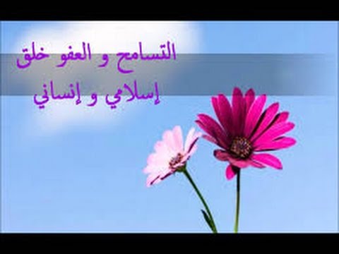 صور ملاءكة