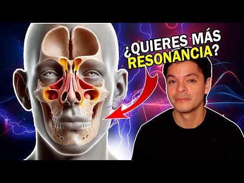The Method to understand THE MASK in SONG (Complete Guide)