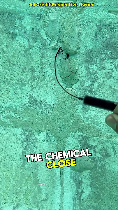 This Method To Check Leakage in Pool You've Ever Seen Before it!😱❤#shortsvideo