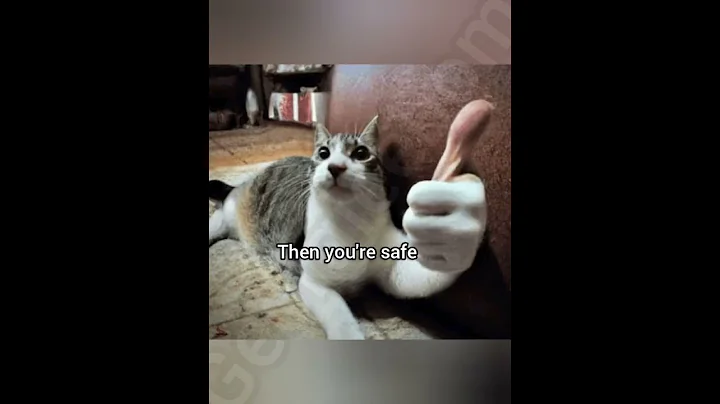 Did it appear or was it sent #cat #funny #georgieebom #fyp #memes