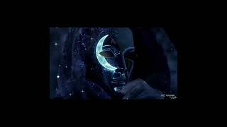 Zen Academy -The Fog of Life (Pt. II)