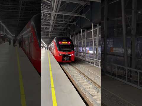 После рейса на Аэроэкспресс в Москву из аэропорта Шереметьево
