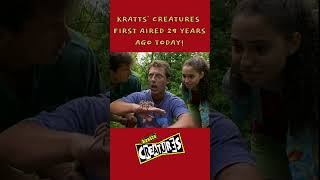 Kratts’ Creatures 29th Anniversary!