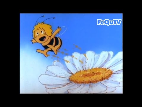 Die Biene Maja - Maya the Bee (1975) Cartoon German Intro Opening Theme HD