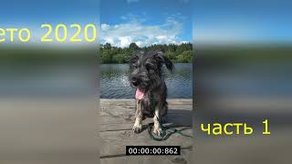 лето2020  ч 1