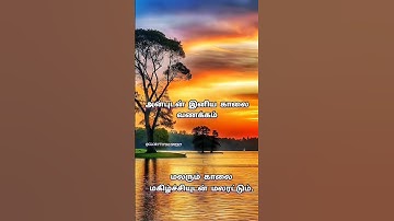 Kaalai Vanakkam / காலை வணக்கம் | good morning status Tamil# இனிய காலை வணக்கம்