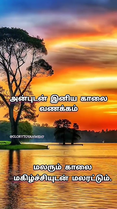 Kaalai Vanakkam / காலை வணக்கம் | good morning status Tamil# இனிய காலை வணக்கம்