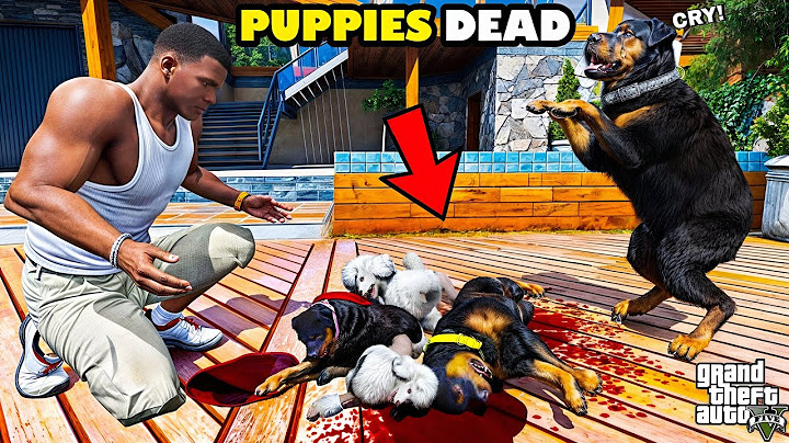 Franklin Trying To Find Who Killed Chop Puppies And Wife In GTA 5!