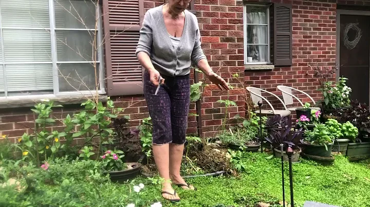 2020 Edible Landscape Tour And Tips 3