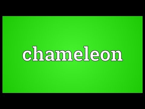 Chameleon Meaning