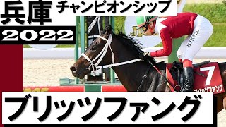 圧巻！ブリッツファング8馬身差で重賞初制覇【兵庫チャンピオンシップ