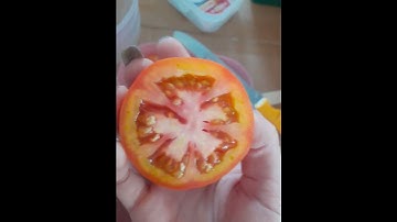 cà chua thái lát 🍅